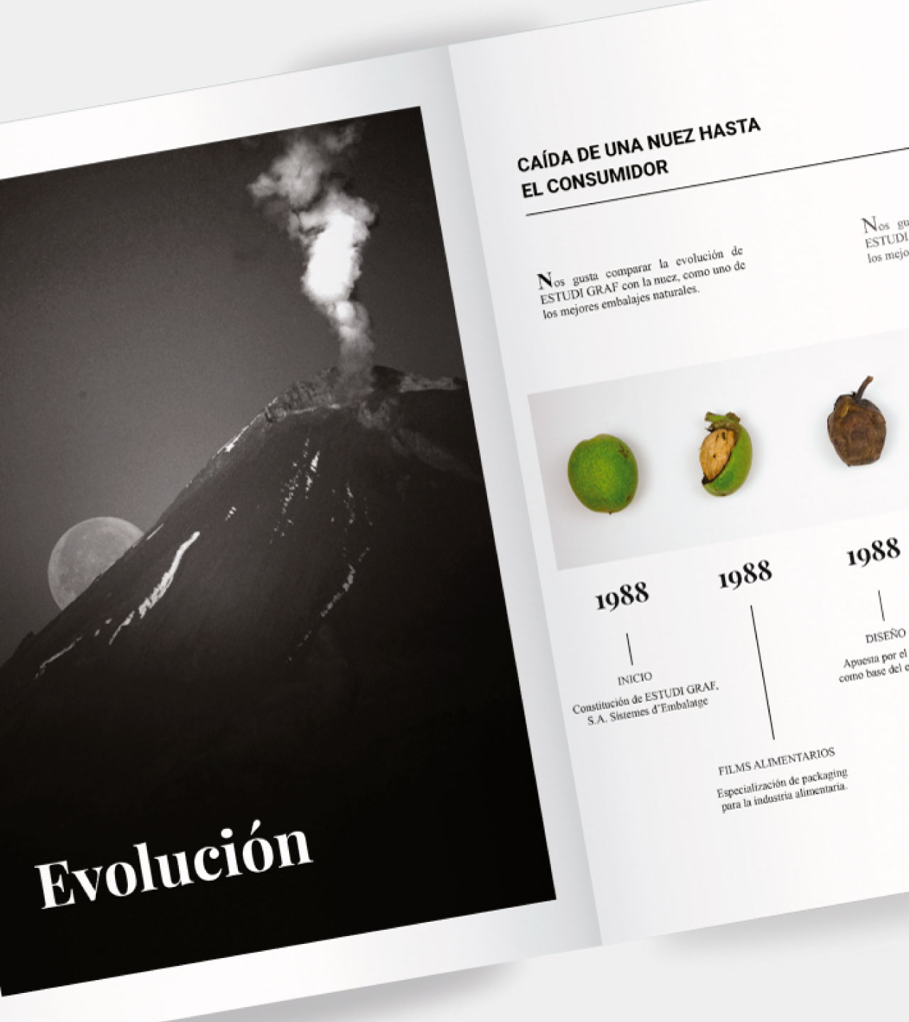 disseny-revista-visual-hub