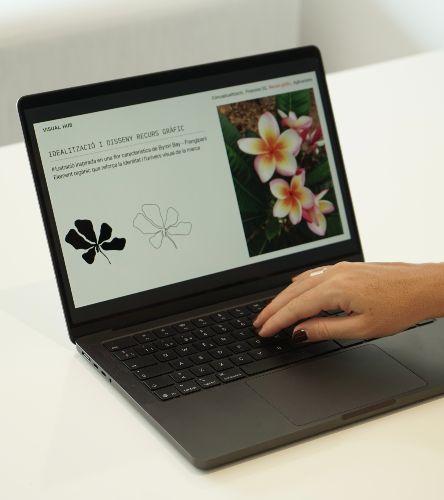 branding byron coffee web visual hub